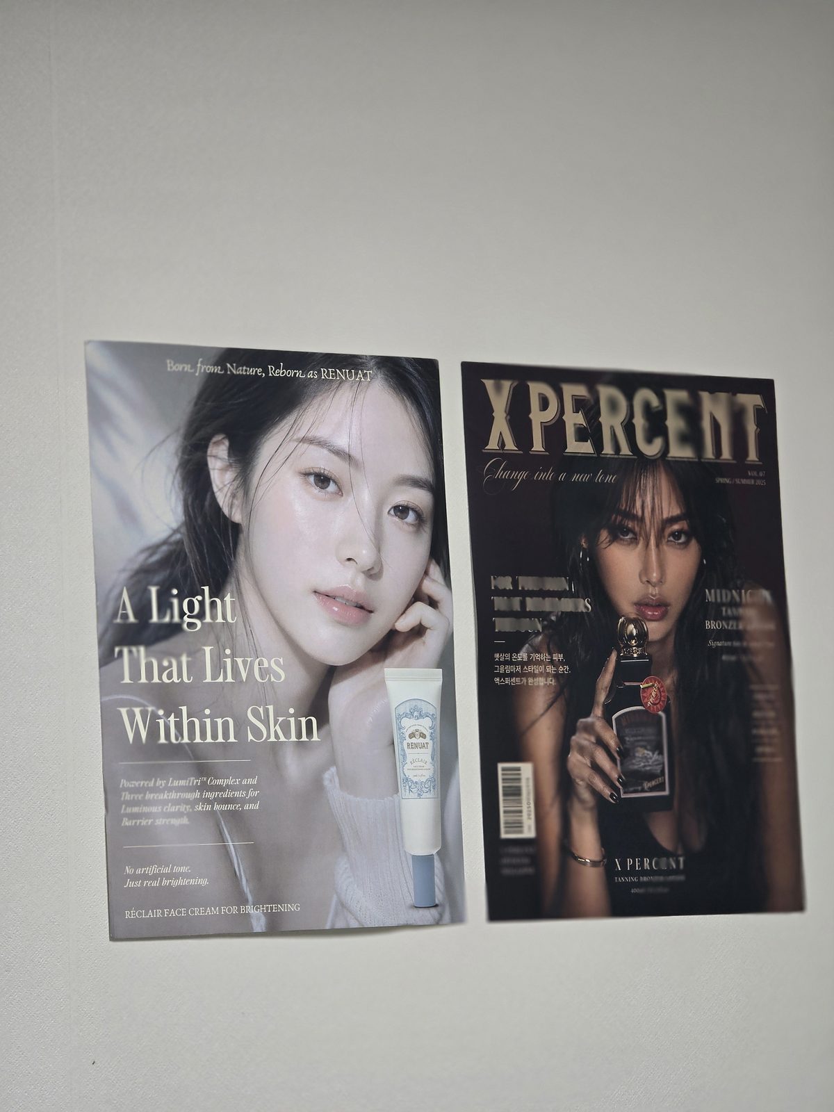 태나무숲 게시글 첨부 이미지 1