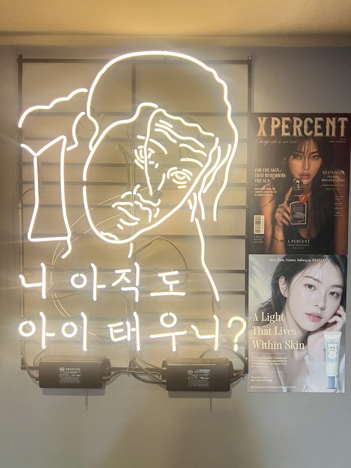 태나무숲 게시글 첨부 이미지 1