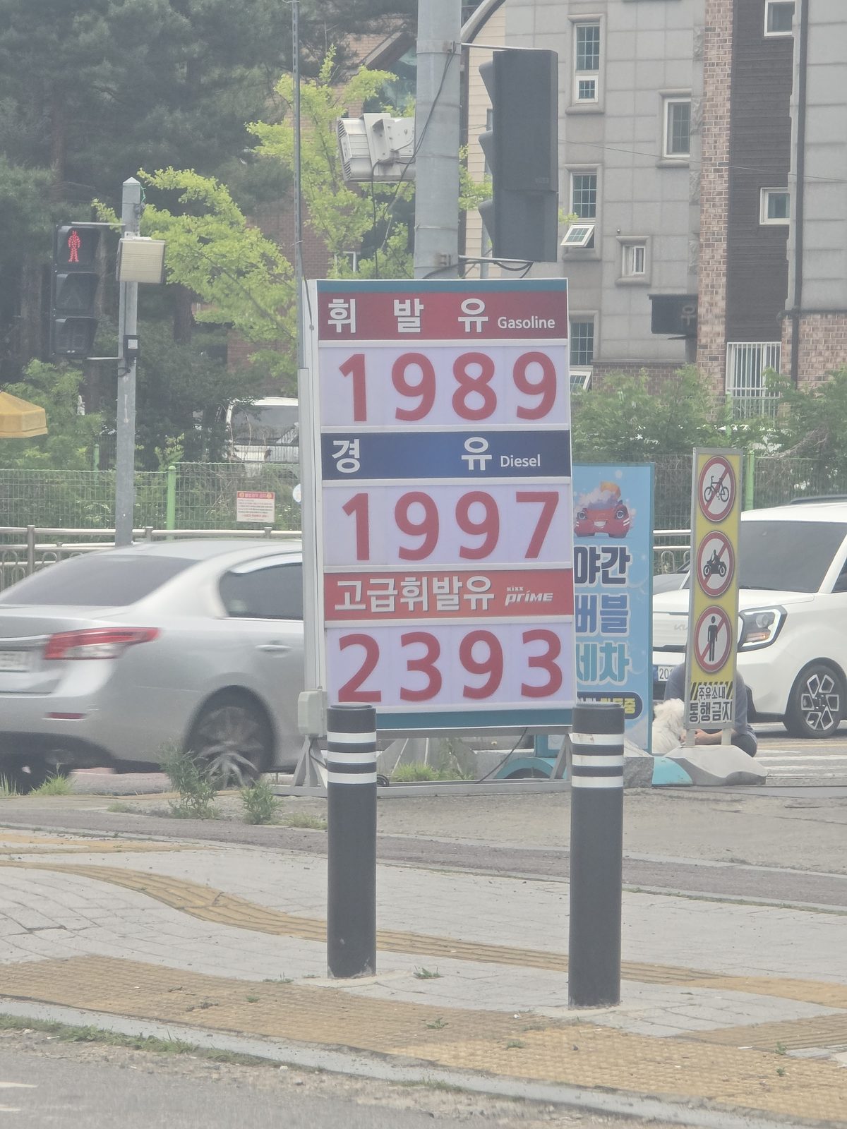 태나무숲 게시글 첨부 이미지 1