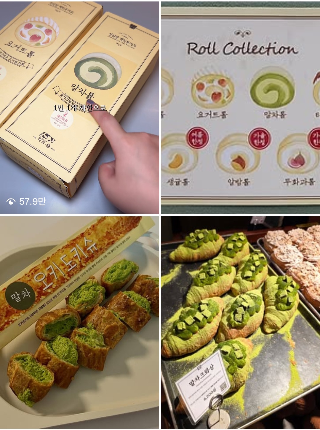 태나무숲 게시글 첨부 이미지 1