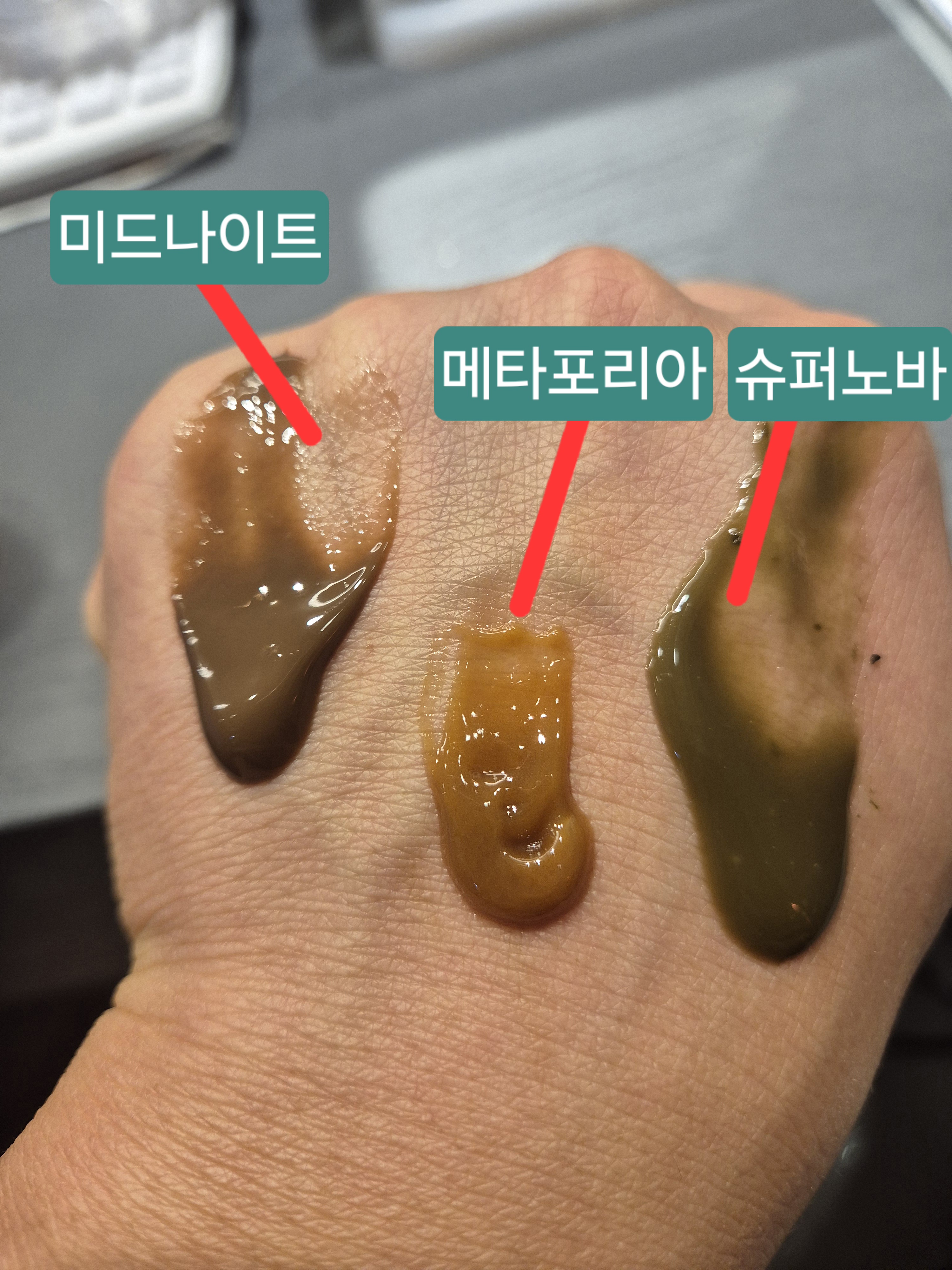 태나무숲 커뮤니티 게시글 이미지