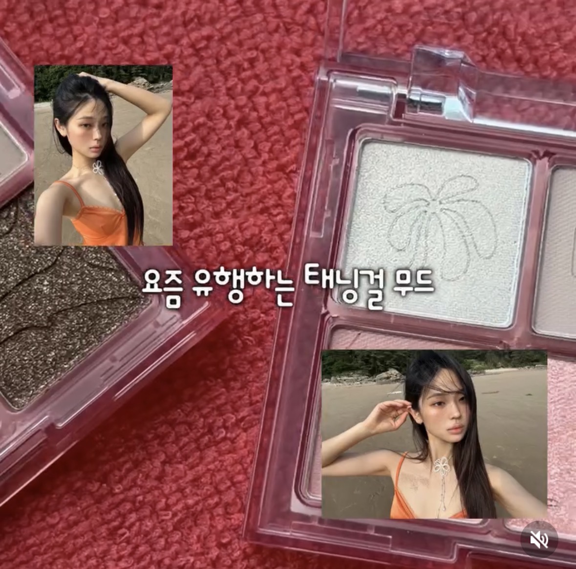 태나무숲 게시글 첨부 이미지 1